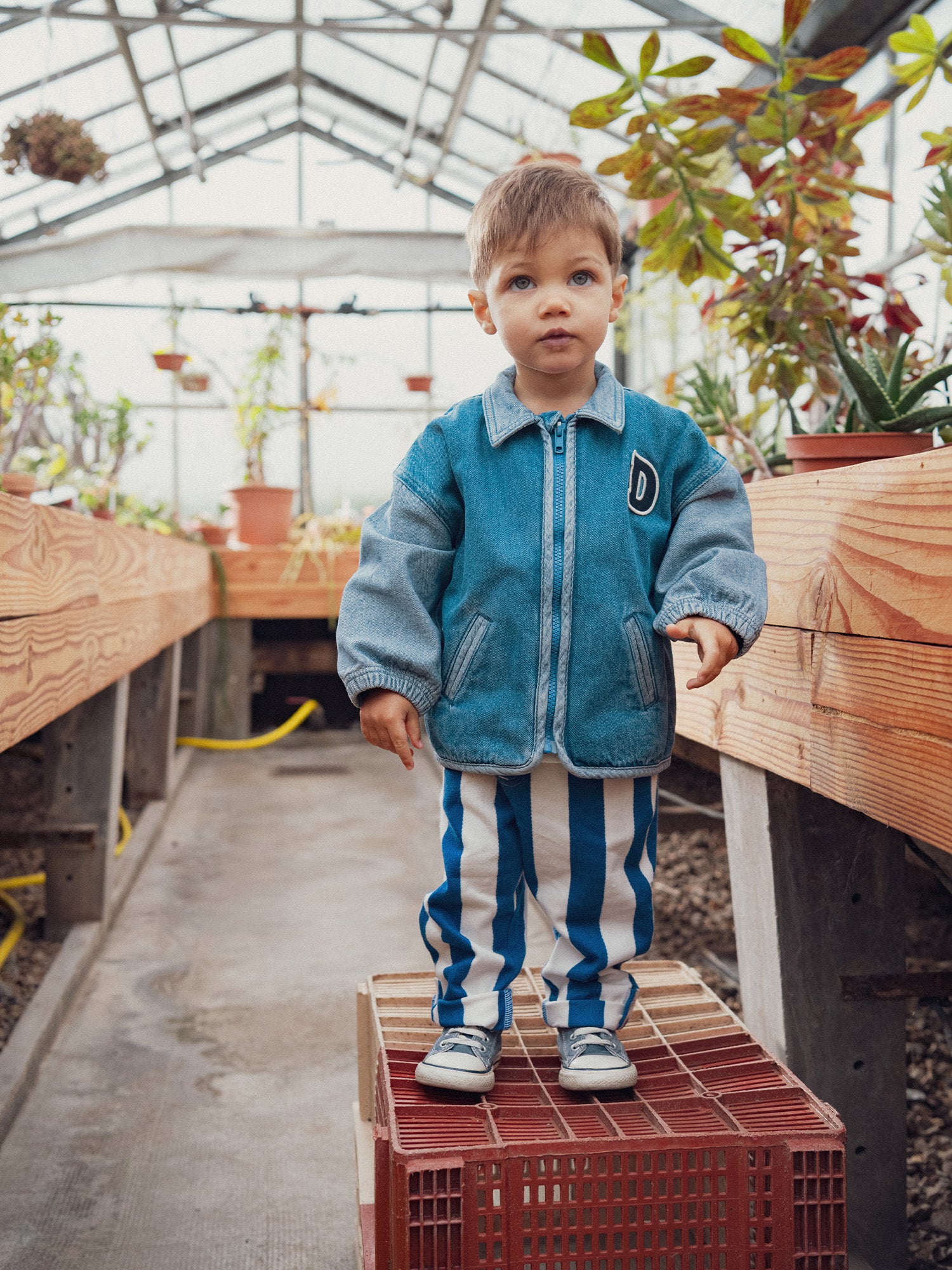 Bomber en denim avec patch "D" pour bébé garçon