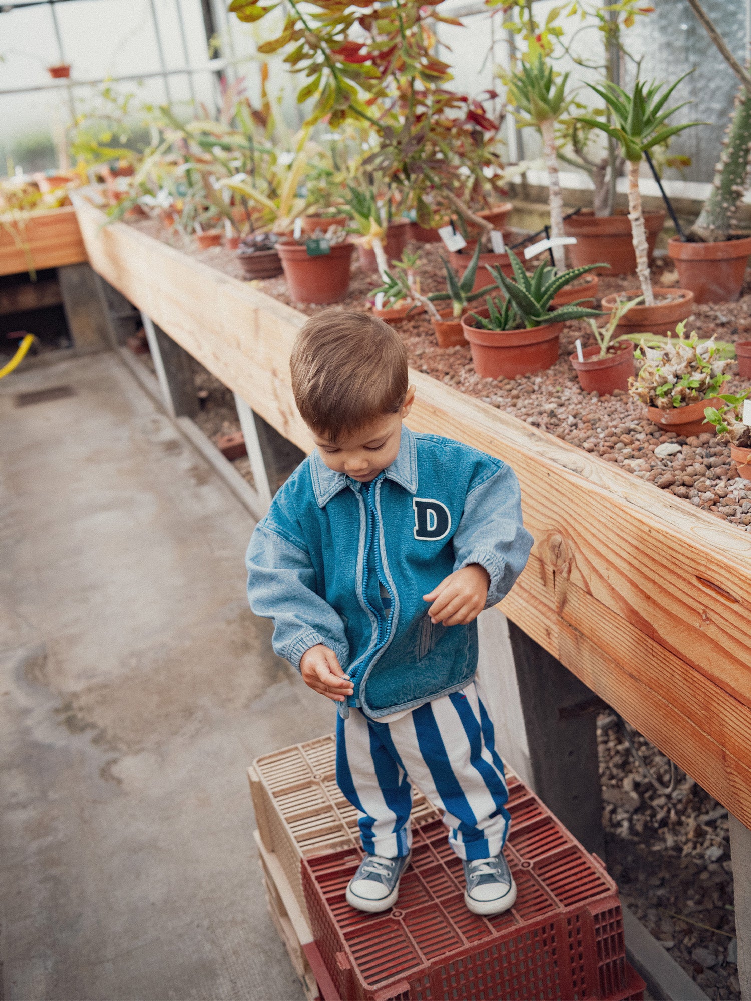 Bomber in denim con patch "D" per bambino