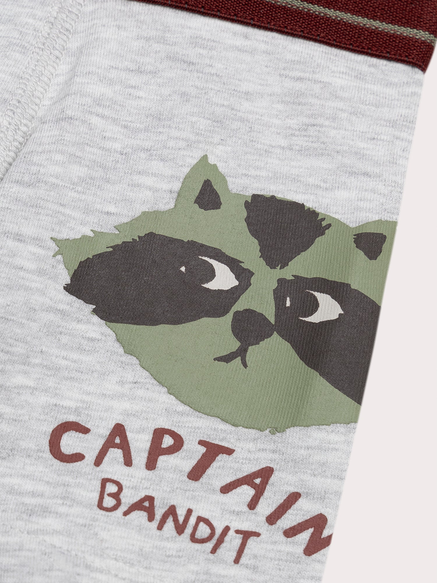 Lotto di 5 boxer animali per bambini