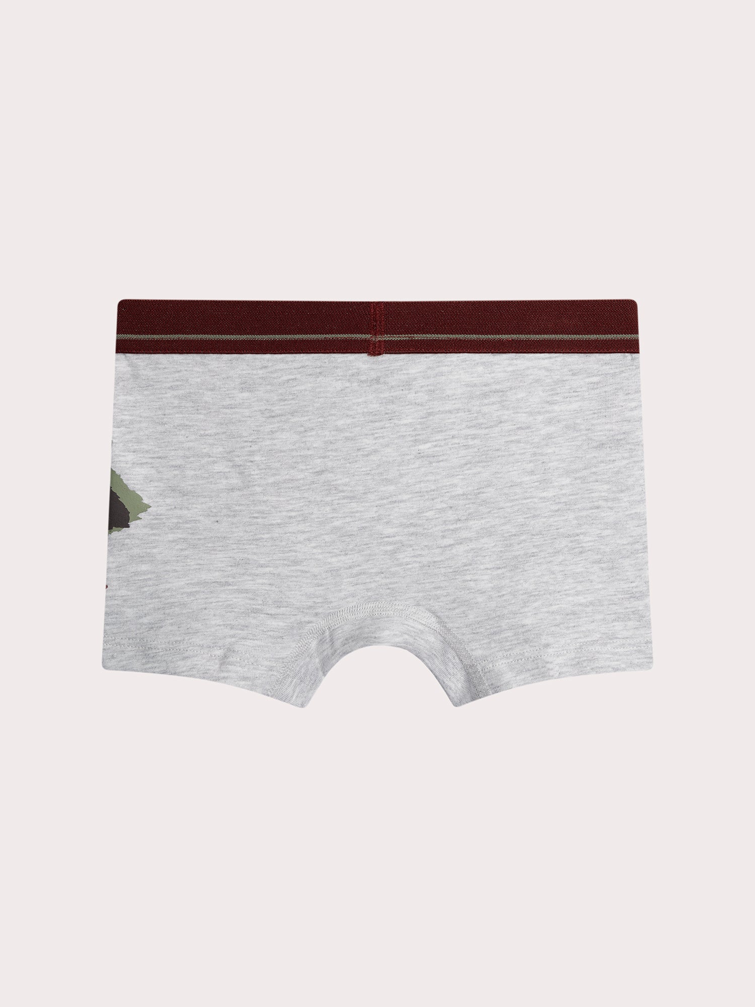 Lotto di 5 boxer animali per bambini