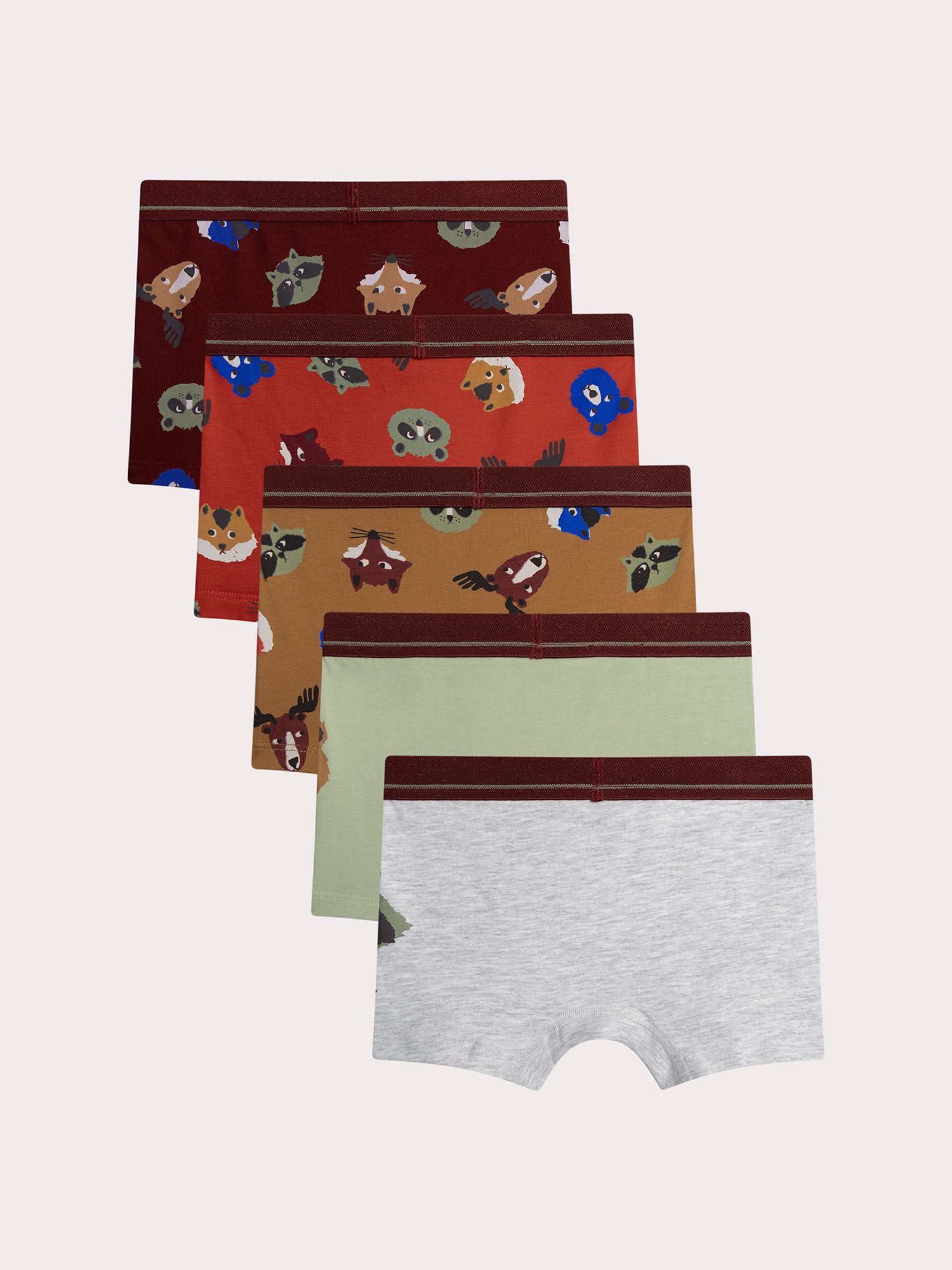 Lotto di 5 boxer animali per bambini
