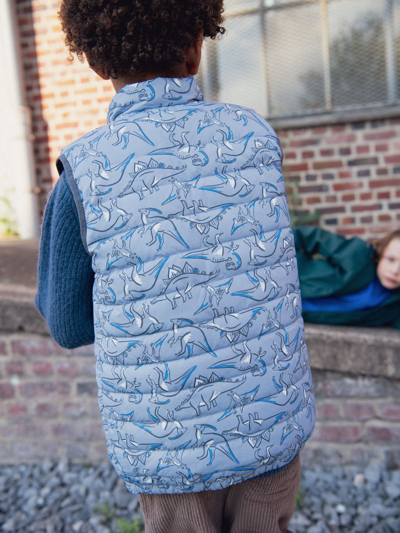 Gilet senza maniche con stampa di dinosauri per ragazzo