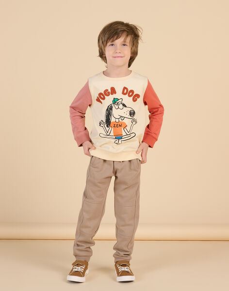 Pantaloni sportivi RODAYJOG / 23S902M1JGBI815