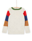 Maglia con motivi volpe e a righe POMUPUL / 22W902R1PULA011