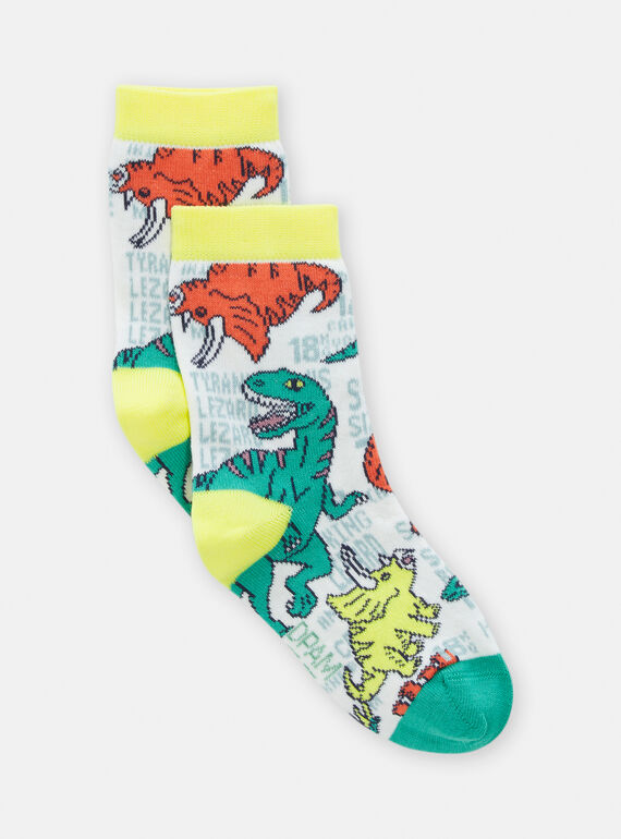 Calze bambino multicolore con stampa dinosauro TYOJOCHO6 / 24SI0281SOQ001