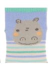 Baby boys' mid length socks CACGCHO2 / 18SF41C1SOQ020