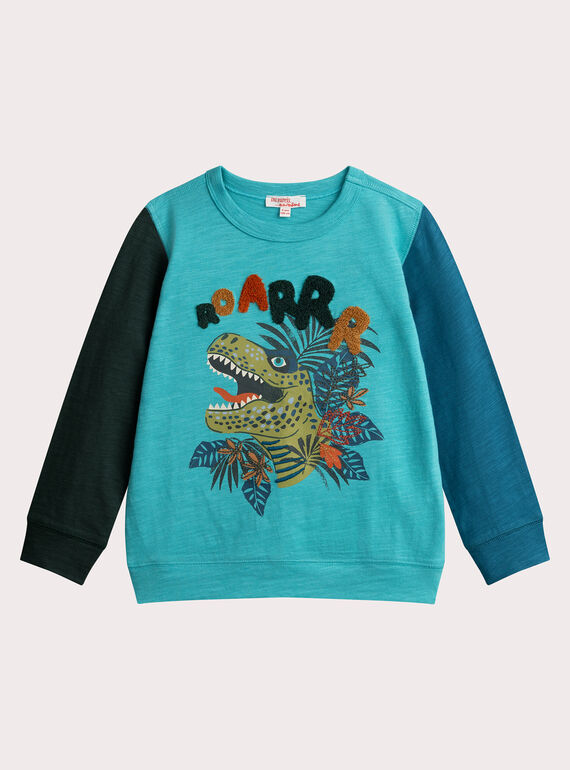 T-shirt tricolore animazione dinosauro per ragazzo  VOKLITEE1 / 24W90242TML202