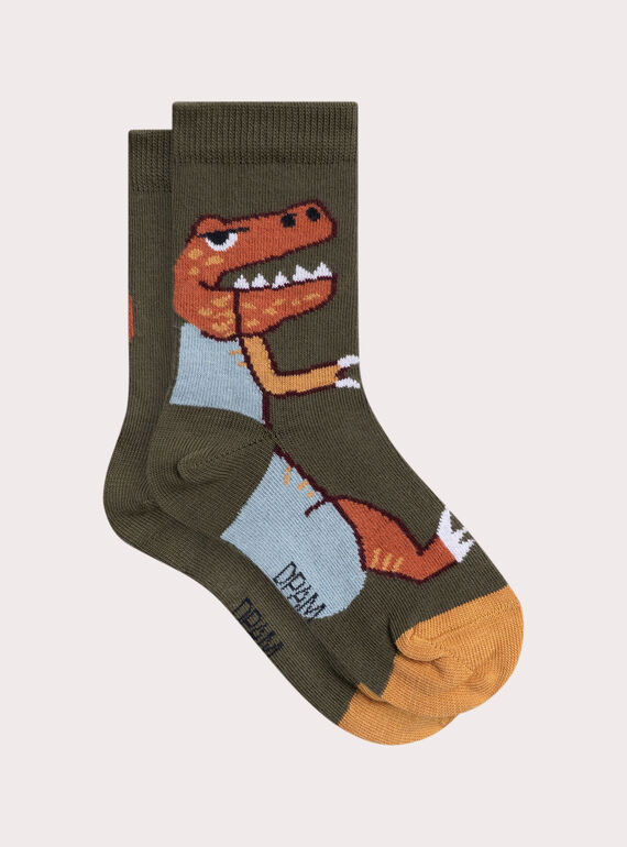 Dark kaki SOCKS VYOJOCHO6 / 24WI02K1SOQ609
