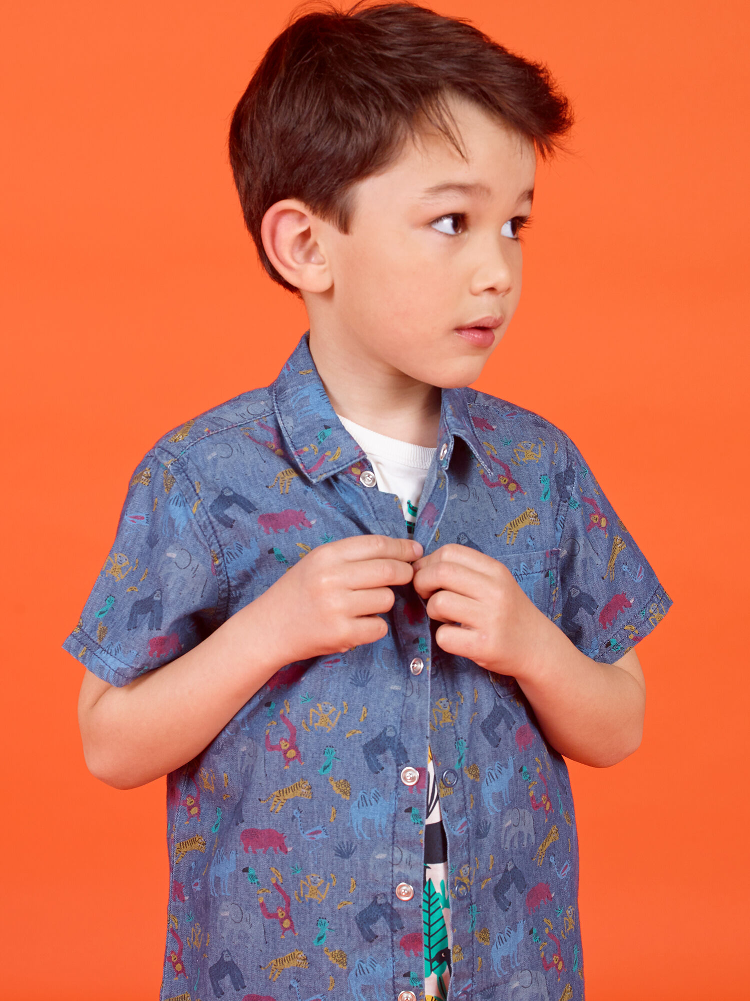 Camicia maniche corte bambino acquisto online Polo Camicia DPAM
