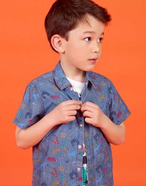 Chemise Manche Courte Enfant Garcon Achat En Ligne Polo Chemise Dpam