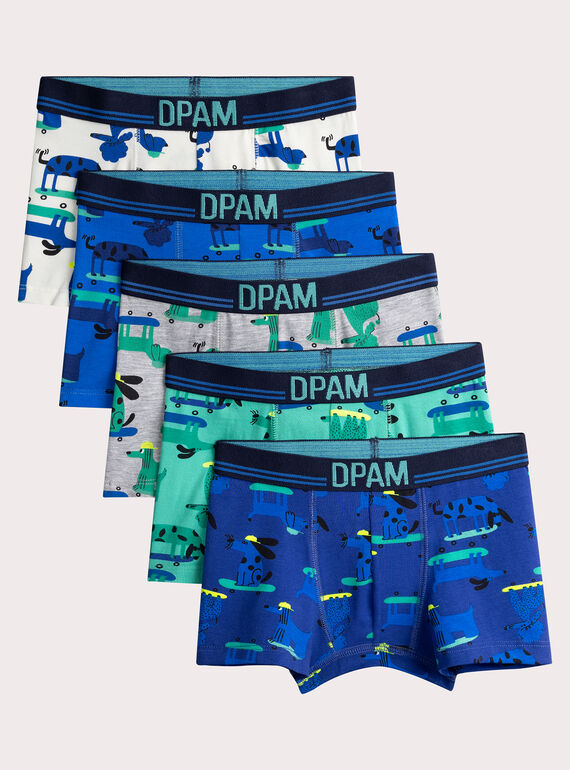 Set di 5 boxer con stampa cane per ragazzo  VEGOBOXSEM2 / 24WH1281BOXC214